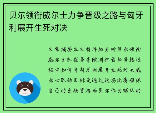 贝尔领衔威尔士力争晋级之路与匈牙利展开生死对决